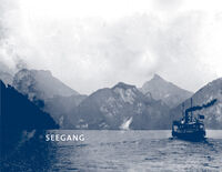 SEEGANG. Ergebnisse einer Feld-, Fels- und Wasserforschung am Traunsee